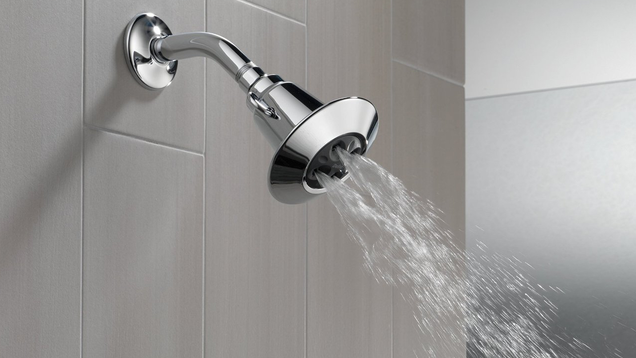 Delta 75152 Shower Head | $15 | Amazon